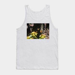 Monarchs of Mexico VII Tank Top